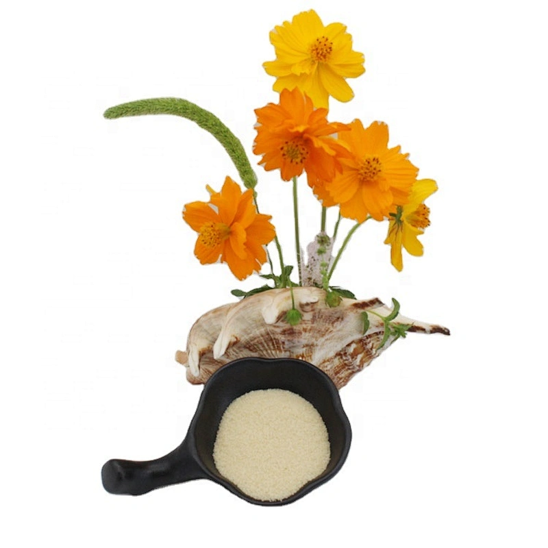 2024 Bovine Hide Gelatin Cow Bone Gelatin Food Gelatin